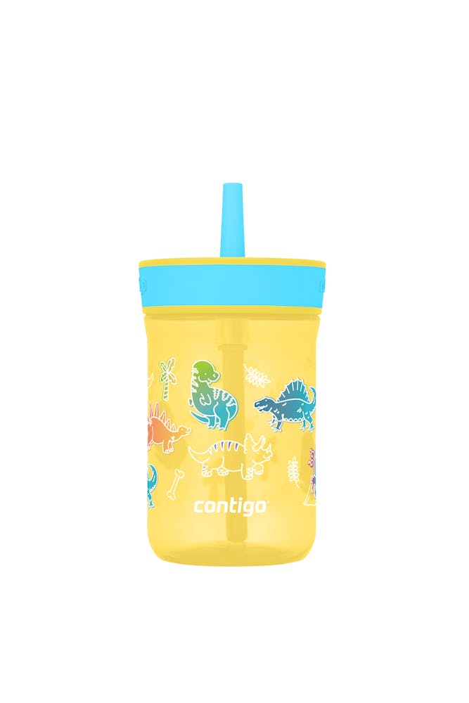 Kids’ Leighton Straw Tumbler with Spill-Proof Leak-Proof Lid, 14oz K6